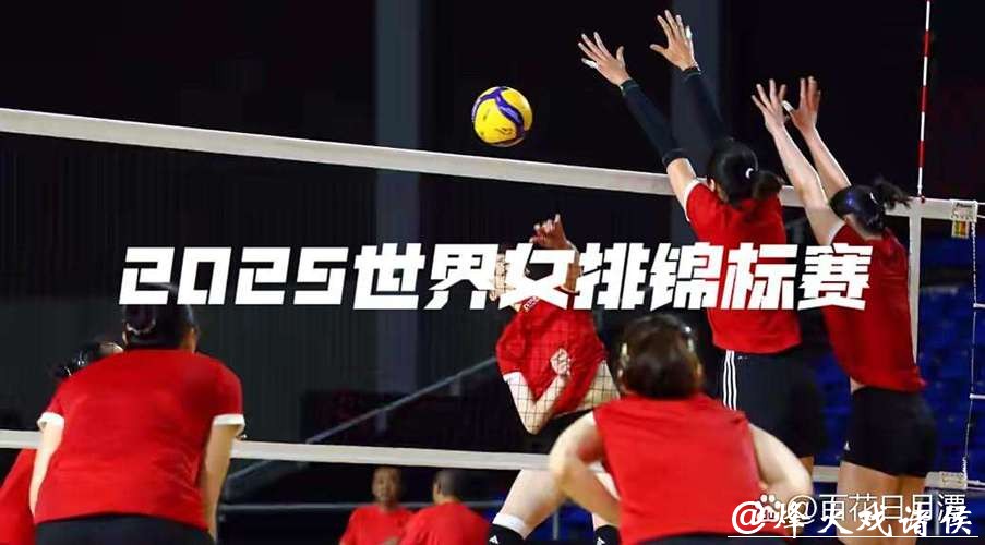 在线观看世界杯女排赛直播视频